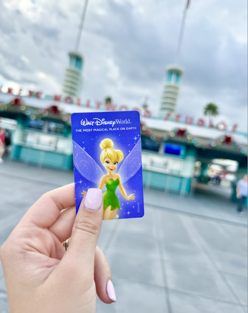 Disney Park Ticket